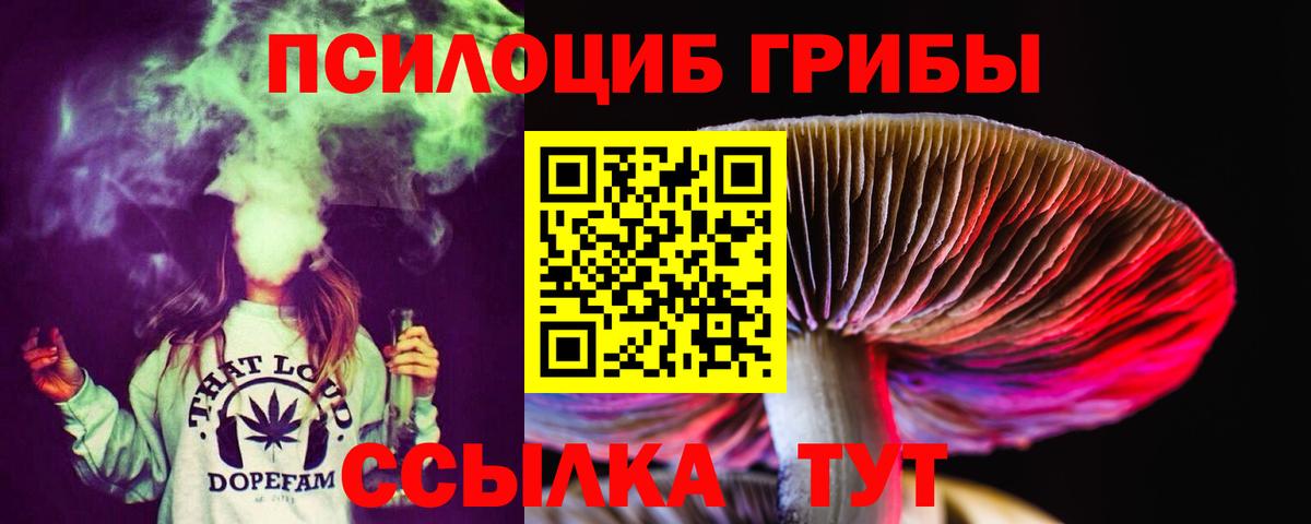 Псилоцибиновые грибы прущие грибы  Вход с VPN  Бирск 